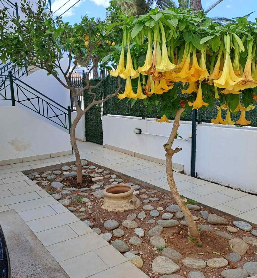 Dimitris Place Near Athens Airport Koropíon Extérieur photo