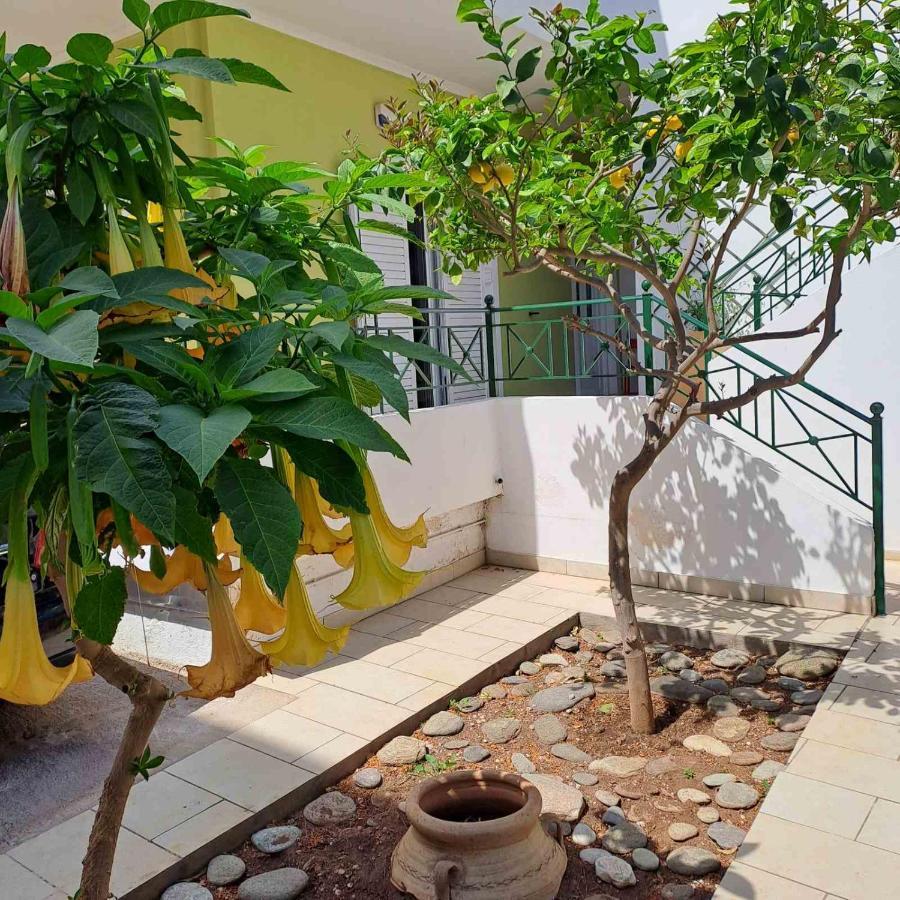 Dimitris Place Near Athens Airport Koropíon Extérieur photo